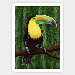 Toucan in the Rainforest Sticker